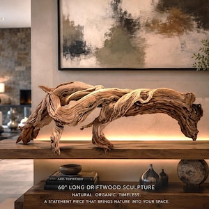 Op de afbeelding: Een 152 cm lange drijfhoutsculptuur, een natuurlijk en organisch statement piece. De sculptuur heeft een lichtbruine kleur en een unieke, gedraaide vorm. Het wordt tentoongesteld op een houten plank.