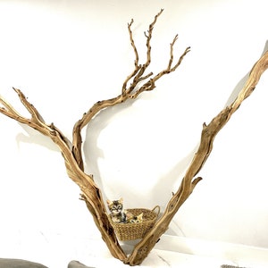 Gigantic,extra large 9 foot driftwood wall sculpture, add shelf and create your own cat tree, driftwood wall art,natural sandblasted trees