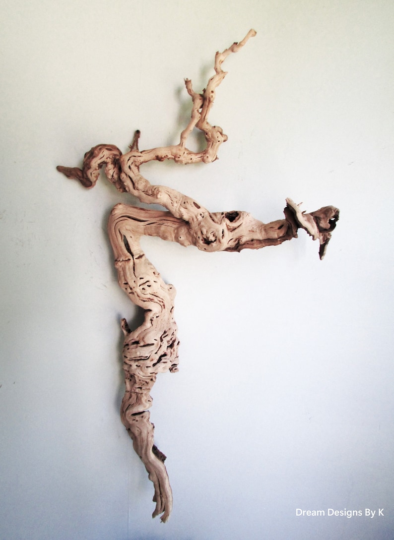 52 Driftwood Wall Art Natural Tree Root Drift Wood Etsy