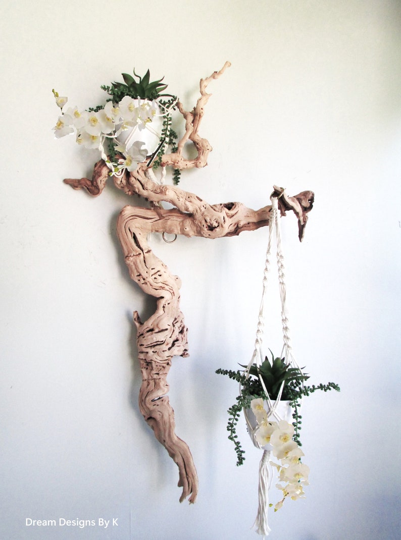 52 Driftwood Wall Art Natural Tree Root Drift Wood Etsy