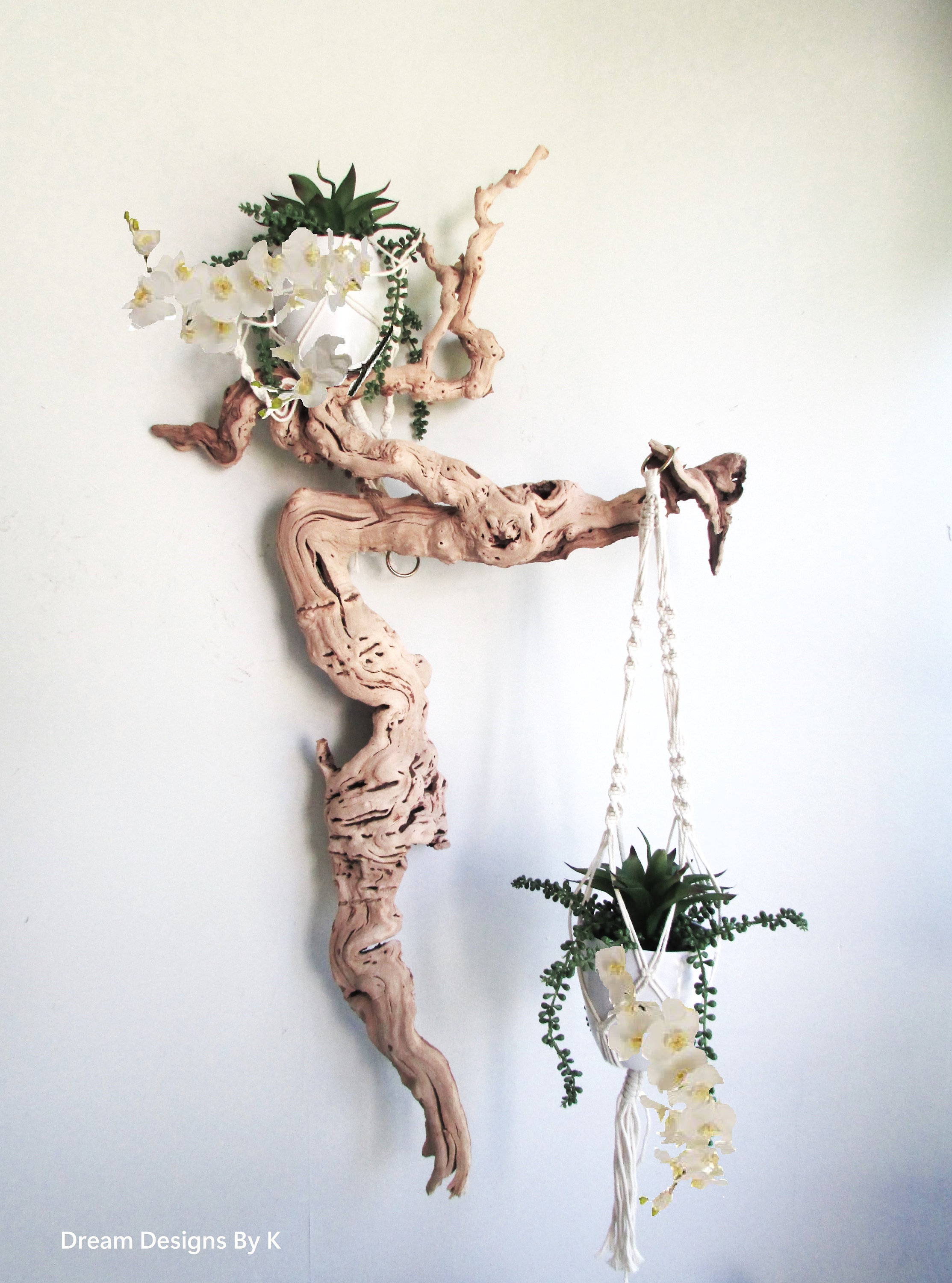 52 Driftwood Wall Art Natural Tree Root Drift Wood Etsy
