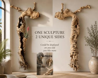 Large 55" sandblasted, Driftwood wall art, Naturally formed over Decades, Authentic tree root, sculpture, One of a kind, organic wall decor,