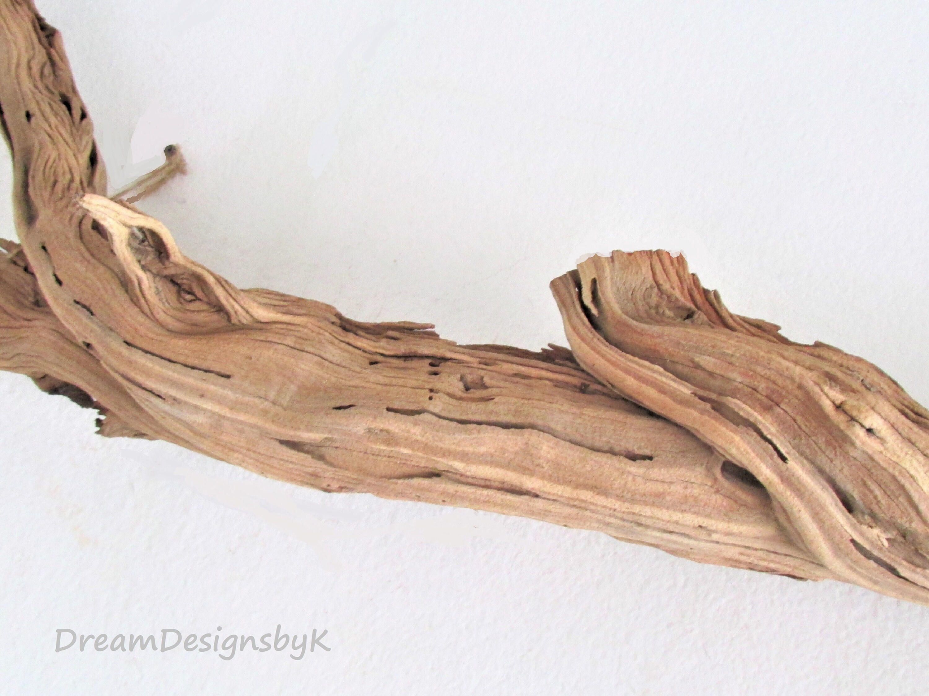 62 Extra Large natural baobab treeDrift wood wall Etsy