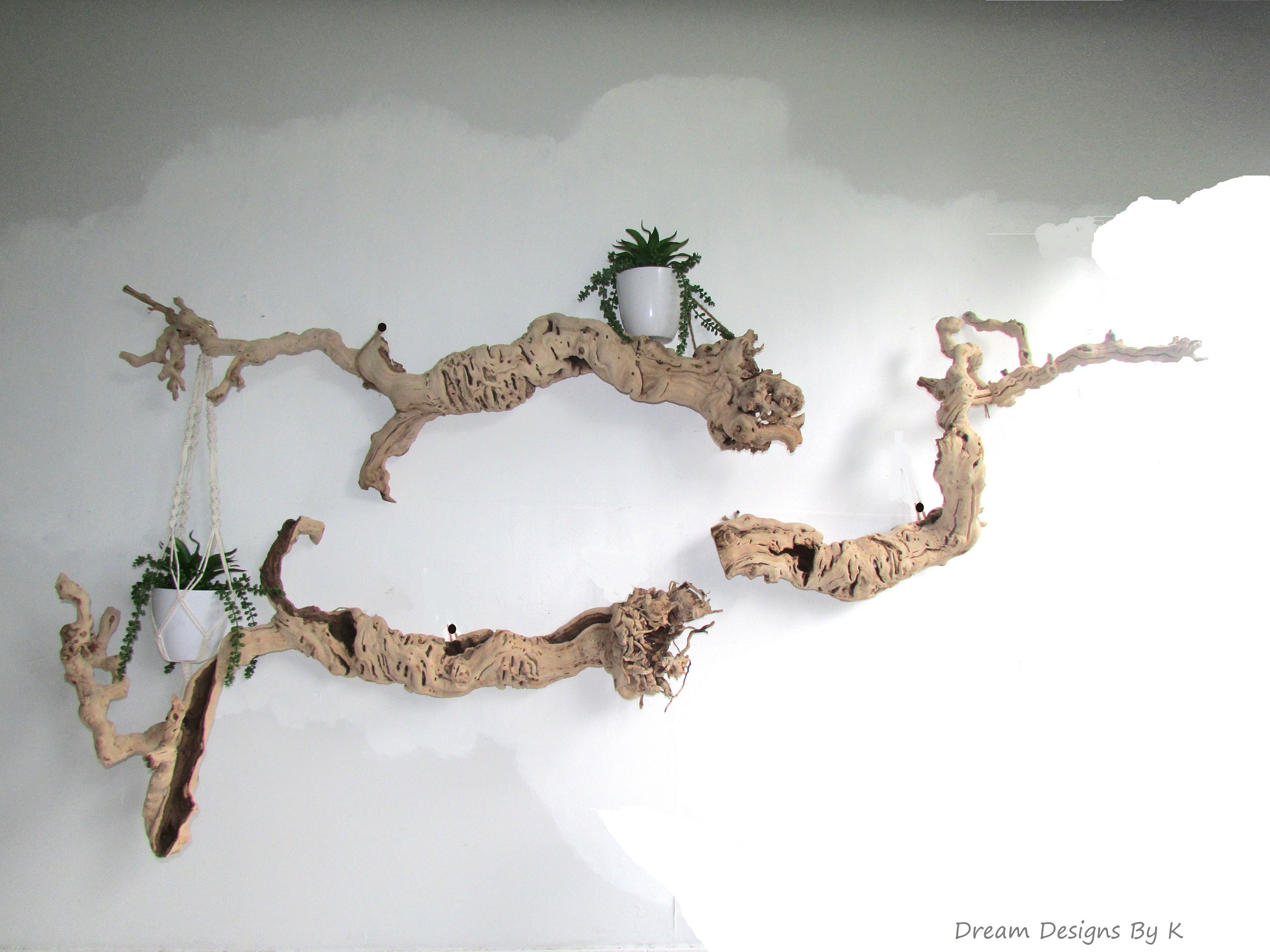 Set of 3 Naturals Tree Roots Driftwood Wall Art Tree Root Etsy