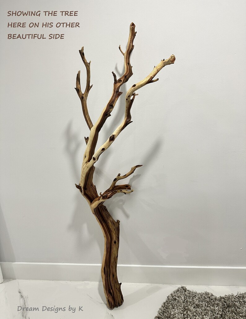 Large 66'' Driftwood Wall Hangingdriftwood Wall Etsy