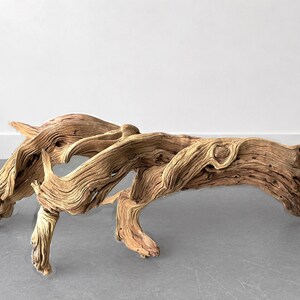 Op de afbeelding: Een groot stuk drijfhout met een natuurlijk, verweerd uiterlijk. Het hout is lichtbruin van kleur met ingewikkelde nerfpatronen en een gebogen, organische vorm. Het drijfhout heeft meerdere takken en een getextureerd oppervlak.