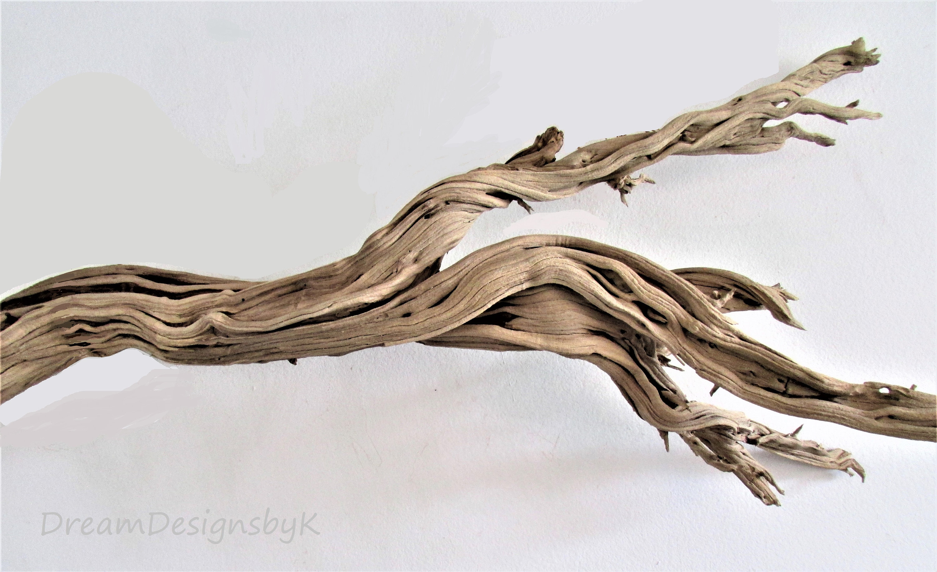 Striking 68 Extra Large natural ghost treeGhost wood Etsy