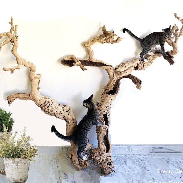 Cat Tree for Large Cats Etsy