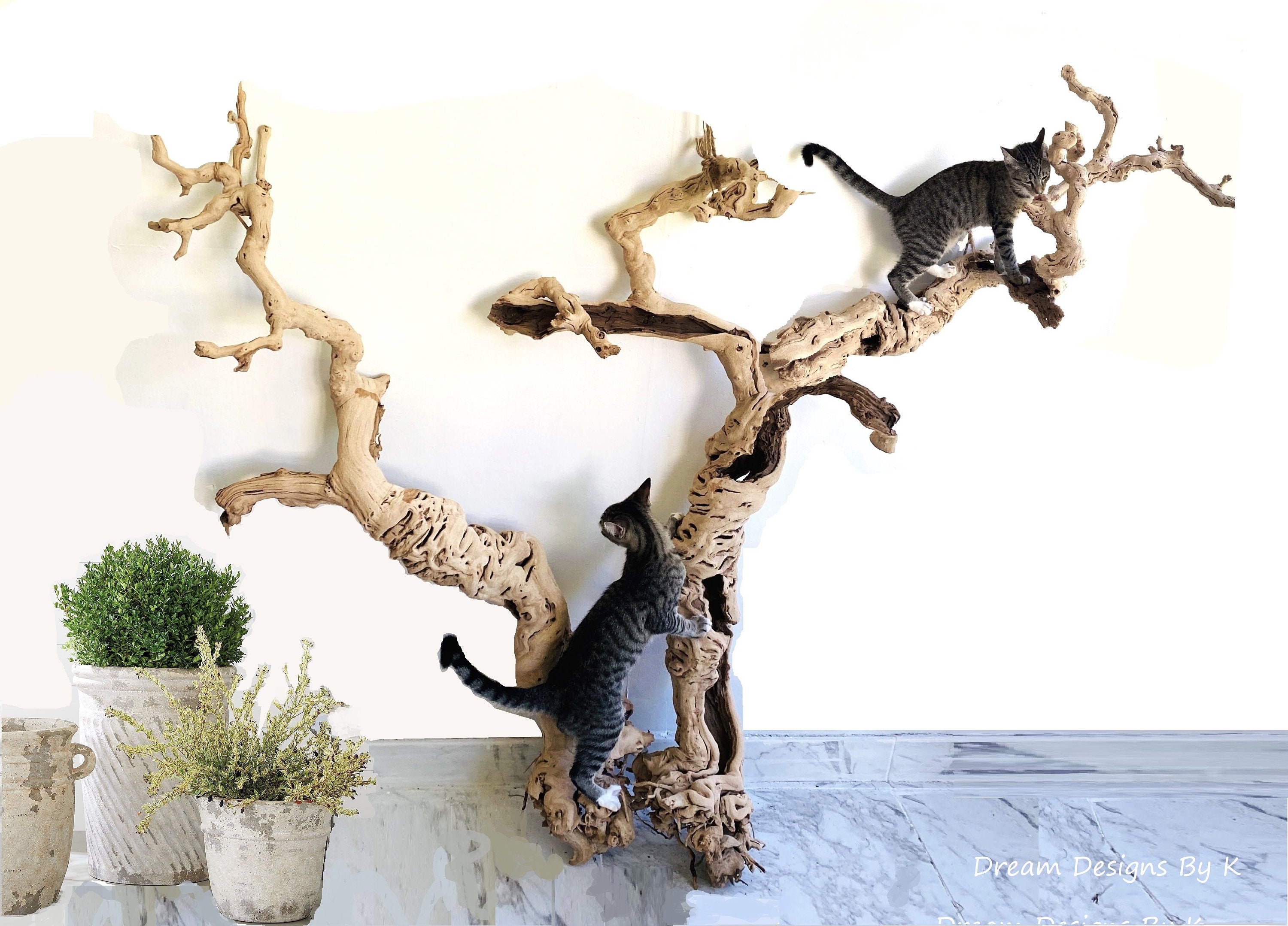 driftwood cat tree