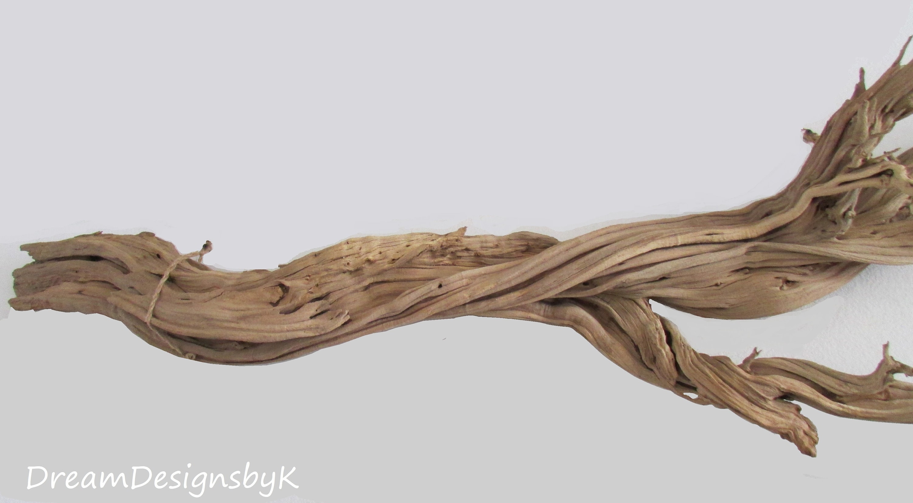 Striking 68 Extra Large natural ghost treeGhost wood Etsy