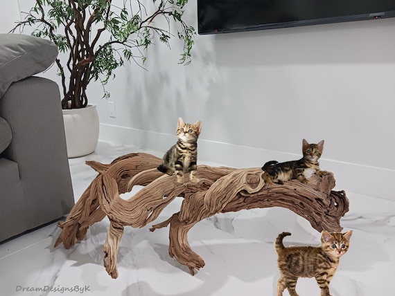 Large Natural Driftwood Sculpture, Ghost Tree Root