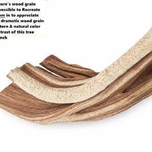 May include: A curved tree branch featuring a distinct wood grain pattern with contrasting light beige and dark brown tones. The text reads: Nature's wood grain impossible to Recreate Zoom in to appreciate the dramatic wood grain pattern & natural color contrast of this tree branch.