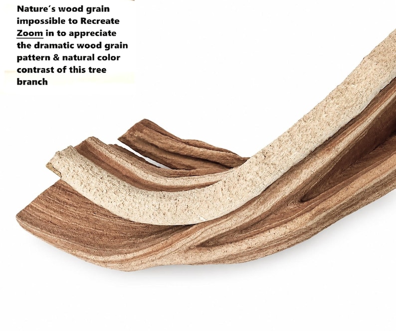 May include: A curved tree branch featuring a distinct wood grain pattern with contrasting light beige and dark brown tones. The text reads: Nature's wood grain impossible to Recreate Zoom in to appreciate the dramatic wood grain pattern & natural color contrast of this tree branch.