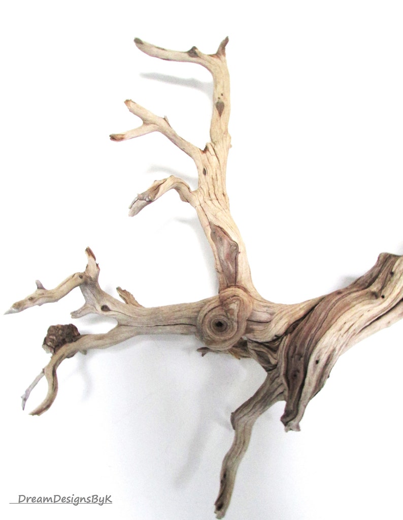 Striking 58 Extra Large Ghost Tree Ghost Wood Wall Etsy