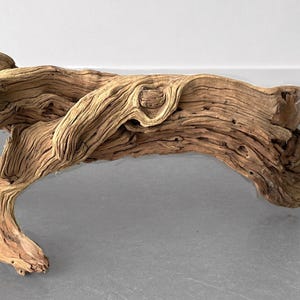 Op de afbeelding: Een groot stuk drijfhout met een natuurlijke, verweerde uitstraling. Het hout heeft een warme bruine kleur met ingewikkelde nerfpatronen en knopen. Het drijfhout heeft een gebogen vorm en wordt waarschijnlijk gebruikt voor woondecoratie.