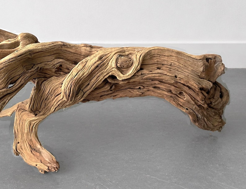 Op de afbeelding: Een groot stuk drijfhout met een natuurlijke, verweerde uitstraling. Het hout heeft een warme bruine kleur met ingewikkelde nerfpatronen en knopen. Het drijfhout heeft een gebogen vorm en wordt waarschijnlijk gebruikt voor woondecoratie.
