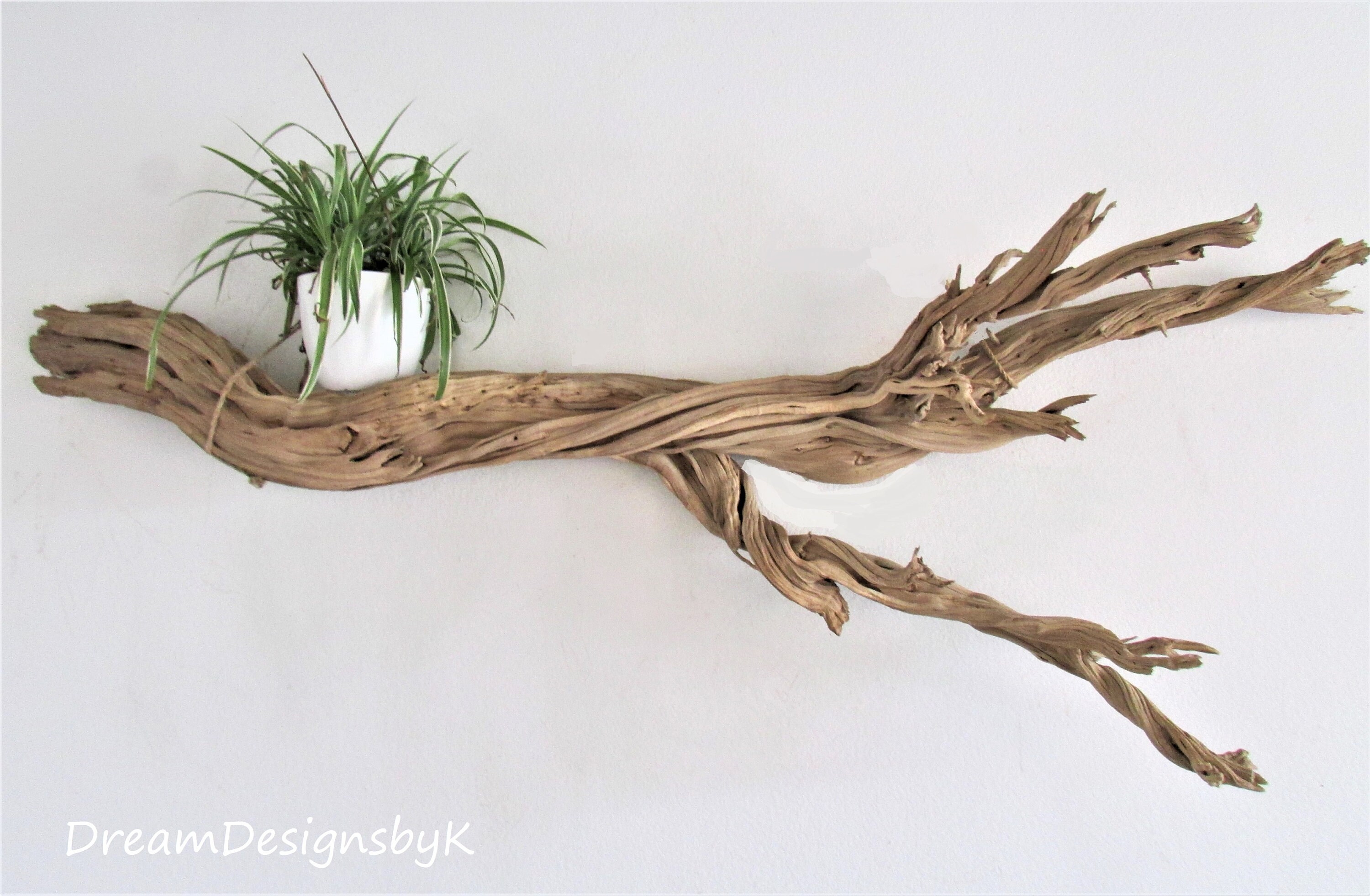 Striking 68 Extra Large natural ghost treeGhost wood Etsy