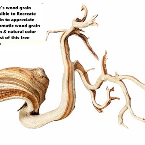 May include: A twisted tree branch with a prominent wood grain pattern featuring contrasting light beige and dark brown tones. The text reads: Nature's wood grain impossible to Recreate Zoom in to appreciate the dramatic wood grain pattern & natural color contrast of this tree branch.