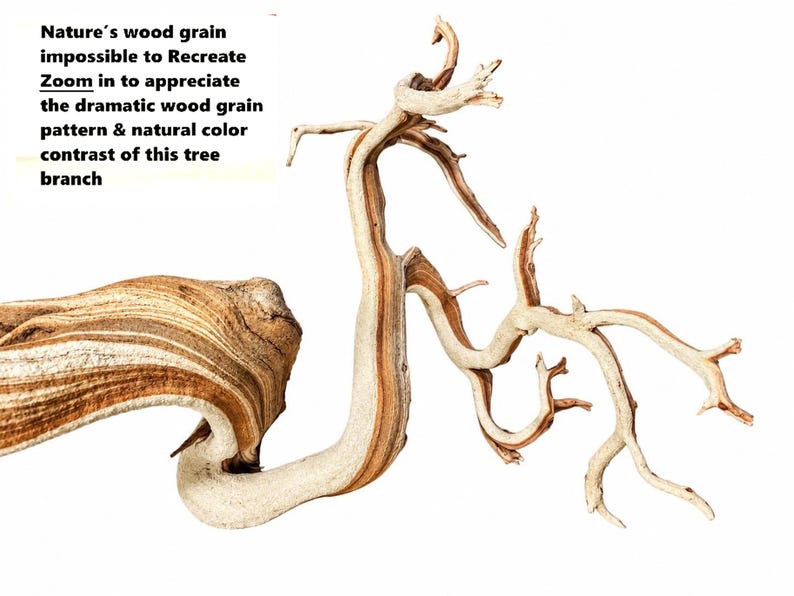 May include: A twisted tree branch with a prominent wood grain pattern featuring contrasting light beige and dark brown tones. The text reads: Nature's wood grain impossible to Recreate Zoom in to appreciate the dramatic wood grain pattern & natural color contrast of this tree branch.