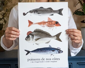 Species of Quebec's Freshwater Fish | Poster | Sport Fishing ...