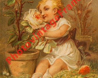 Chromo / chromolithograph &quot;The Ground&quot; &quot;Earth&quot; printable - print circa 1860