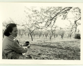 vintage photo ancienne  snapshot jeune femme dans un verger