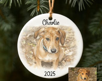 Personalized Pet Portrait Ornament | Custom Watercolor Dog or Cat Keepsake | Memorial Gift | Christmas Ornament 2025
