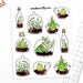 Terrarium stickers - 10 decorative succulent terrarium stickers, planner stickers, bullet journal stickers, bujo stickers, nature stickers