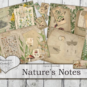 May include: A digital download of vintage-style nature illustrations, including mushrooms, insects, and plants. The title "Nature's Notes" is displayed in a decorative font. The images are perfect for scrapbooking, card making, and other crafting projects.