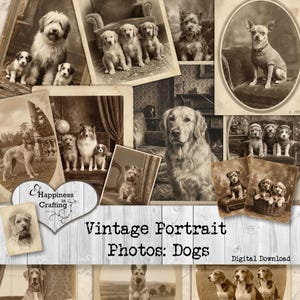 Puede incluir: Un conjunto de fotos de retratos vintage en tonos sepia que presentan varias razas de perros. Las imágenes incluyen perros de diferentes tamaños y razas, dispuestas en un collage con el texto "Vintage Portrait Photos: Dogs" y "Digital Download".