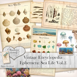 Puede incluir: Una colección de páginas de enciclopedia vintage con ilustraciones de vida marina. Las páginas muestran varias conchas marinas, vidrio de mar y criaturas marinas. La paleta de colores incluye tonos beige, marrón y azul, con texto que dice "Sea Shells", "Sea Glass" y "Vintage Encyclopedia Ephemera: Sea Life Vol. 2."