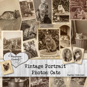 Könnte beinhalten: Eine sepiafarbene Collage von Vintage-Katzenporträts. Die Bilder zeigen verschiedene Katzen in verschiedenen Posen, darunter Sitzen, Faulenzen und Interagieren. Der Text "Vintage Portrait Photos: Cats" ist deutlich zu sehen. Die Collage erinnert an eine nostalgische, klassische Ästhetik.
