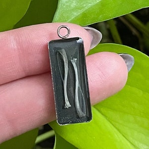 May include: A silver pendant with a rectangular clear resin frame containing two small white bones. The pendant is hanging from a silver loop.