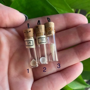 May include: Three small glass vials with cork tops and black metal caps, each containing a different seashell. The vials are labeled with numbers 18, 21, and 3.