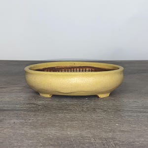 6,25&quot; gele ovale bonsaipot