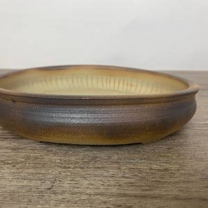 Ovale bonsaipot van 8,25 inch