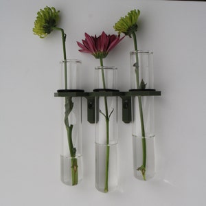 Minimalist Propagation Station | 3 Vase modern Propagation Wall hanger