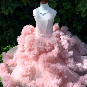Puede incluir: Un vestido de tul rosa con una falda con volantes y un cintur&oacute;n de cuentas. El vestido tiene un corpi&ntilde;o sin mangas y un escote de coraz&oacute;n. El vestido est&aacute; en un maniqu&iacute; sobre un fondo verde.