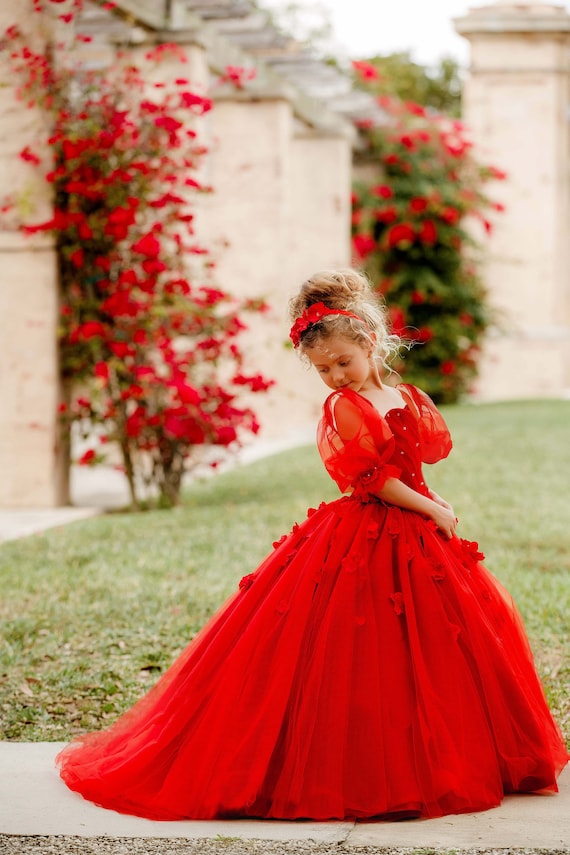 fitted lace wedding dress Red Princess Ball Gown