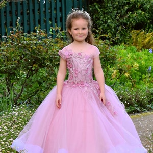 Flower girl dress 3D Lace Tulle Birthday Princess Wedding Baby Toddler Puffy Pageant Ball gown girls outfit - model Pink rose
