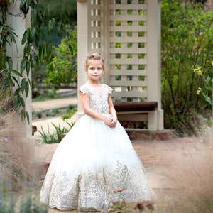 Lace Gold Flower Girl Dress: Tulle Birthday Party Princess Dress