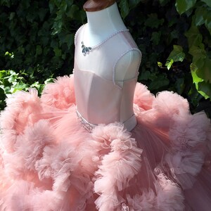 Puede incluir: Un vestido de tul rosa claro con falda de volantes y corpi&ntilde;o de sat&eacute;n. El vestido tiene un cintur&oacute;n de cuentas y un collar de perlas.