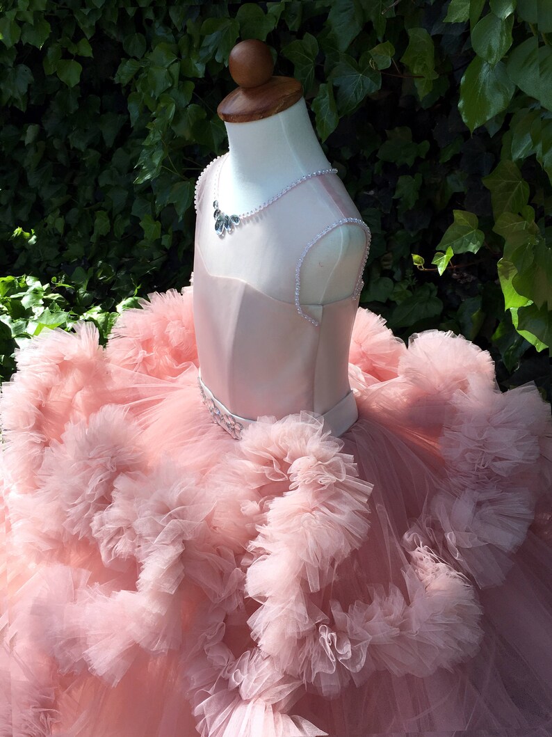 Puede incluir: Un vestido de tul rosa claro con falda de volantes y corpi&ntilde;o de sat&eacute;n. El vestido tiene un cintur&oacute;n de cuentas y un collar de perlas.