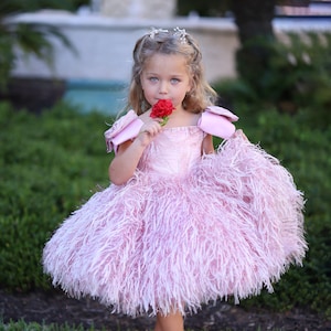 Pink Princess Flower Girl Dress: Shaggy Tutu Birthday Ball Gown