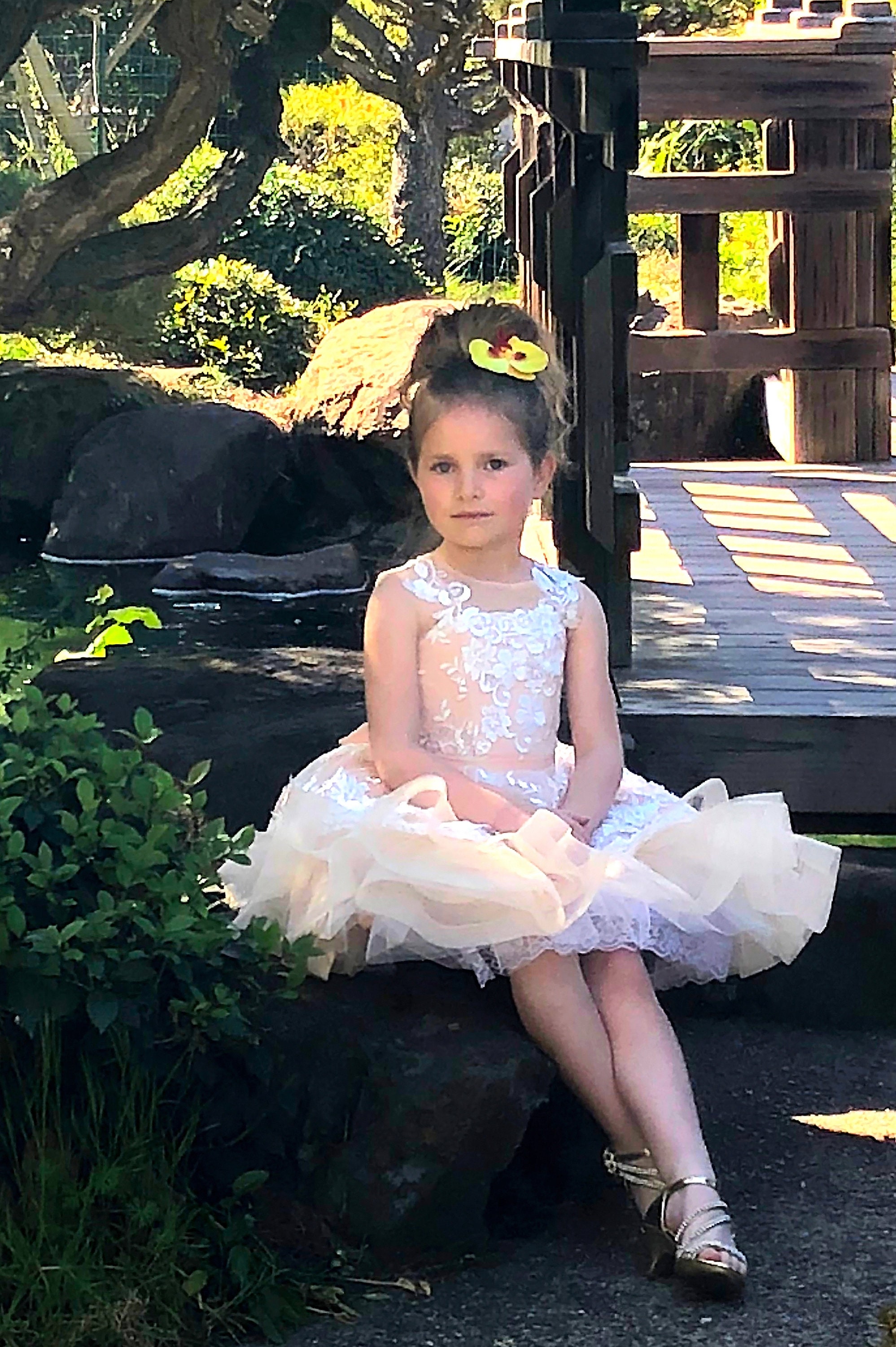 Birthday flower girl Lace girls party dress Baby Toddler Princess Girls wedding Special occasion Knee length