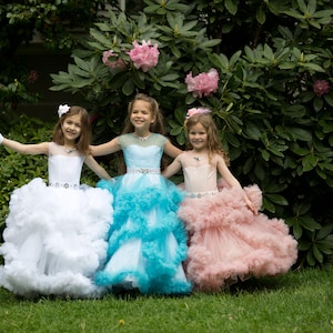 Puede incluir: Tres ni&ntilde;as con vestidos de tul de diferentes colores se paran frente a un arbusto verde con flores rosas. La ni&ntilde;a del medio lleva un vestido azul claro con una cinta blanca. La ni&ntilde;a de la izquierda lleva un vestido blanco con una cinta plateada. La ni&ntilde;a de la derecha lleva un vestido rosa con una cinta plateada.