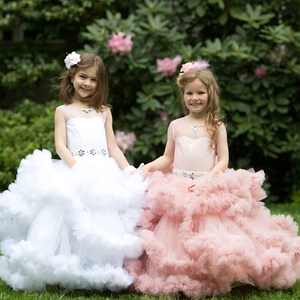 Puede incluir: Dos ni&ntilde;as peque&ntilde;as con vestidos de tul blanco y rosa con faldas con volantes y cinturones brillantes. Est&aacute;n de pie en un jard&iacute;n con hierba verde y flores rosas.