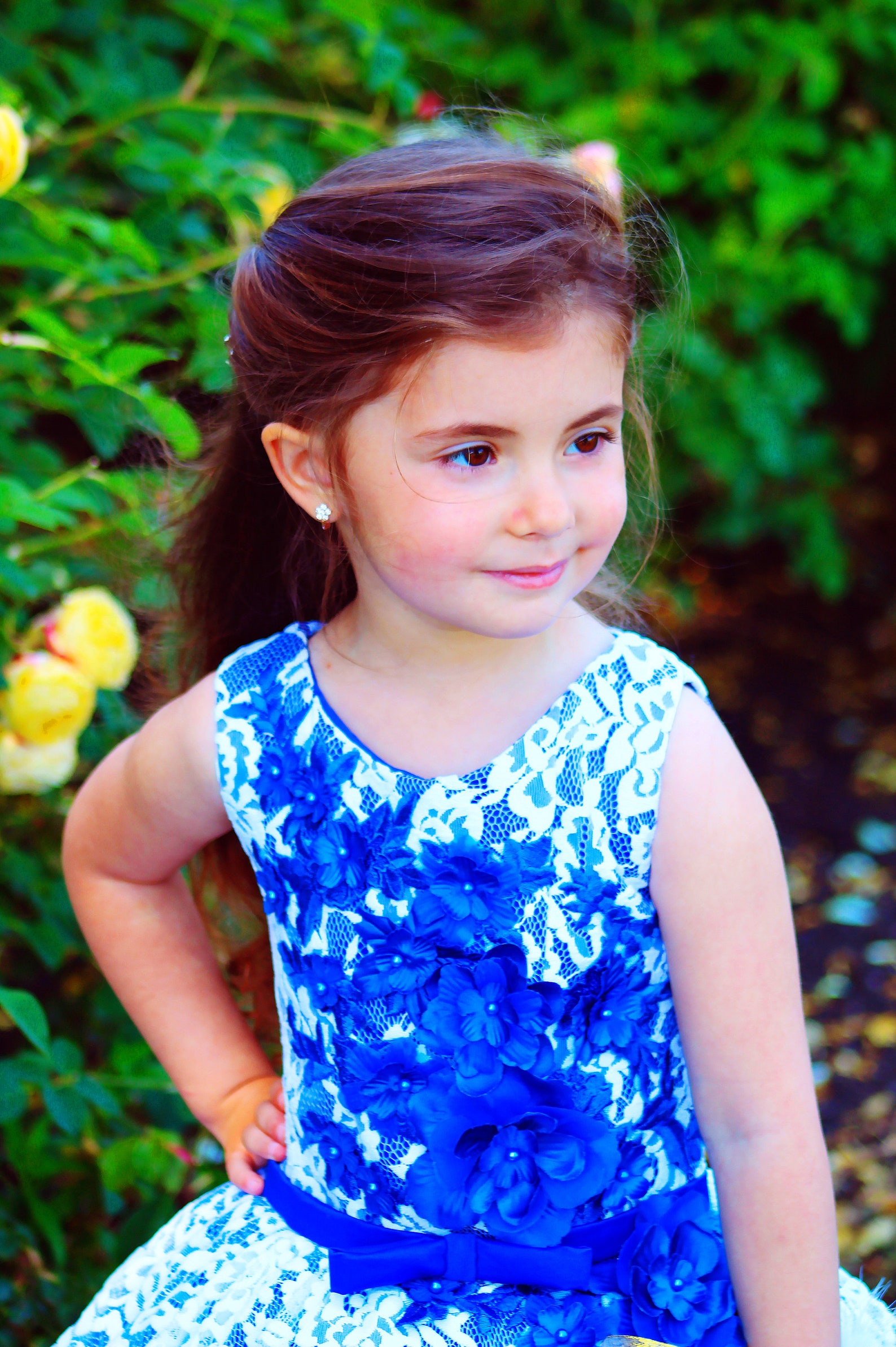 Royal Blue Flower Girl Dress Tulle Princess Party Girls - Etsy