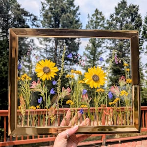 Custom Framed Art with Colorado Wildflowers