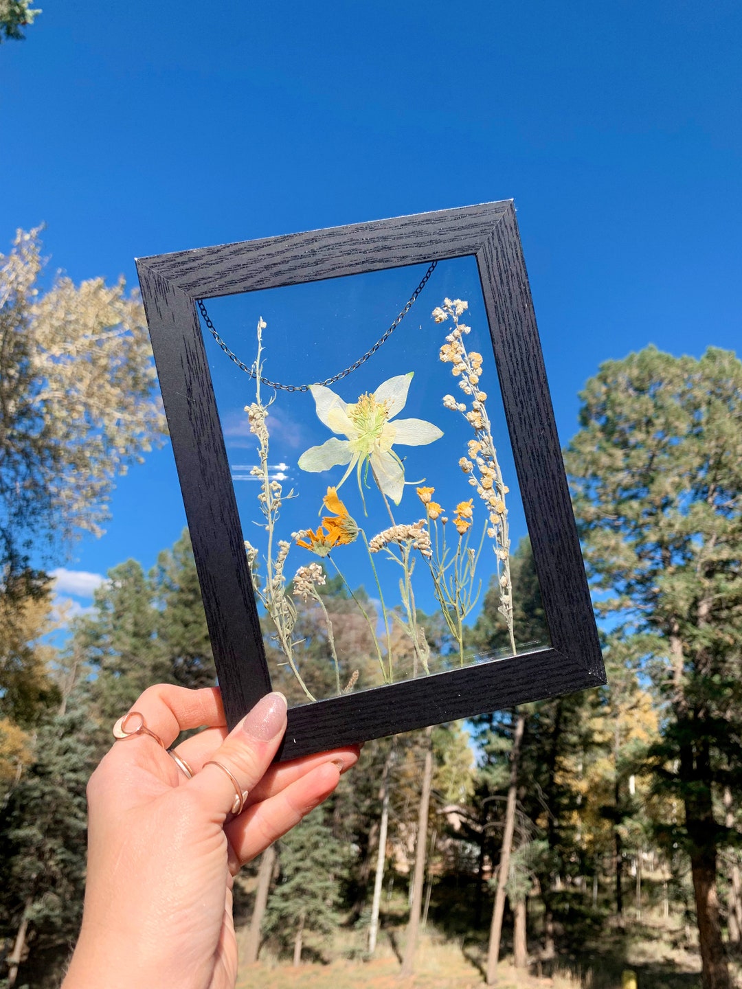 Colorado Wildflower Wall Art Rustic Framed Flower Art 5x7 Etsy
